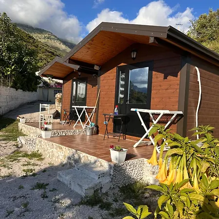 Tony Guest house