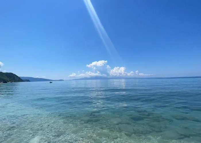 Konukevi Tony Borş